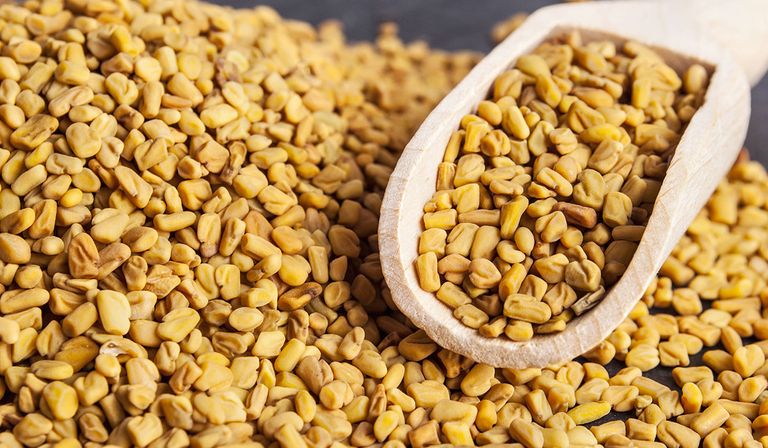 الحلبة للتخلص من قشرة الشعر طرق طبيعية للتخلص من قشرة الشعر