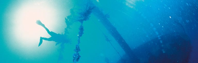 وادي رم الأردن