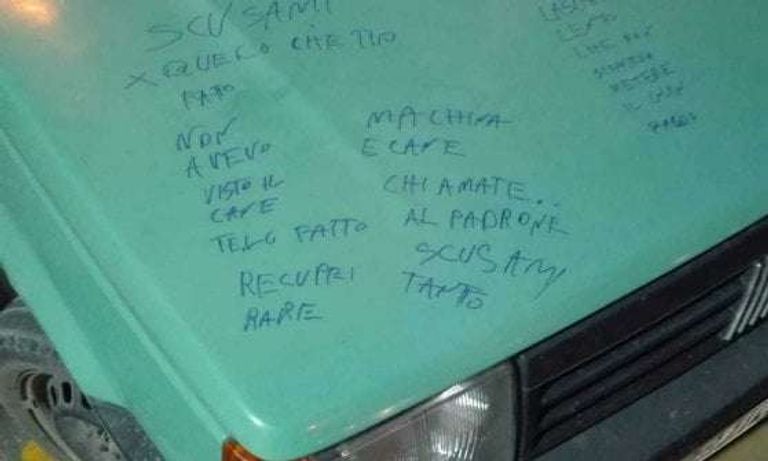 ما يزال البحث عن الكلب تشيكو جارياً