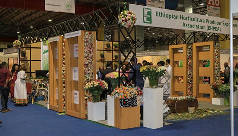 80 % من صادرات إثيوبيا تتجه إلى هولندا وألمانيا