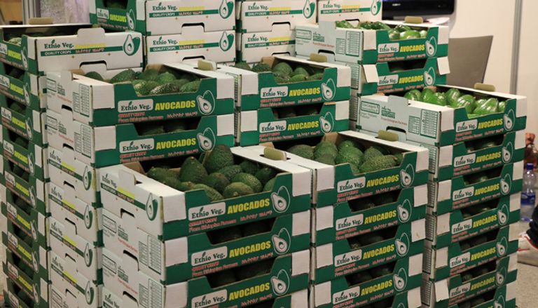 80 % من صادرات إثيوبيا تتجه إلى هولندا وألمانيا