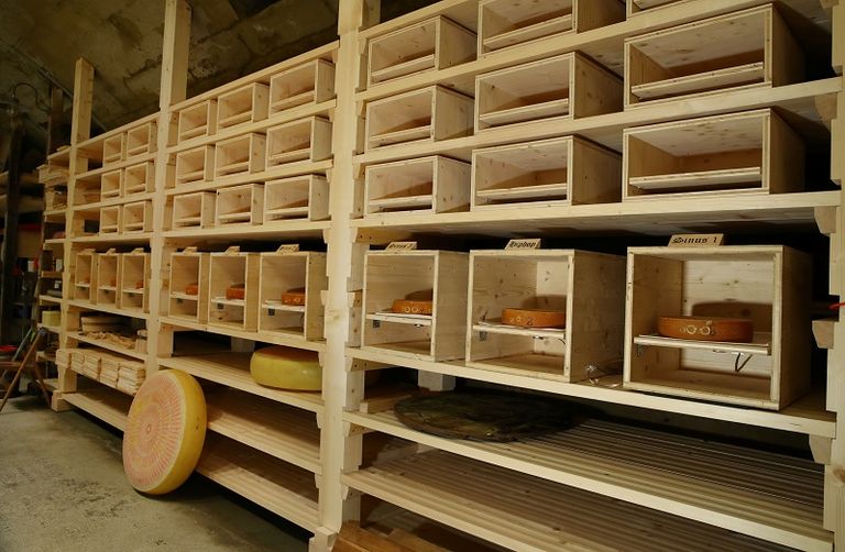 دراسة: موسيقى الهيب هوب تُكسب الجبن نكهة أفضل من موتسارت