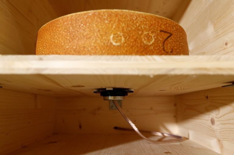 دراسة: موسيقى الهيب هوب تُكسب الجبن نكهة أفضل من موتسارت