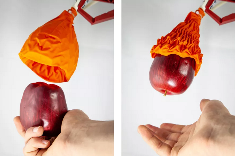 روبوت "وردة" يحمل أوزانا تعادل 100 ضعف من وزنه