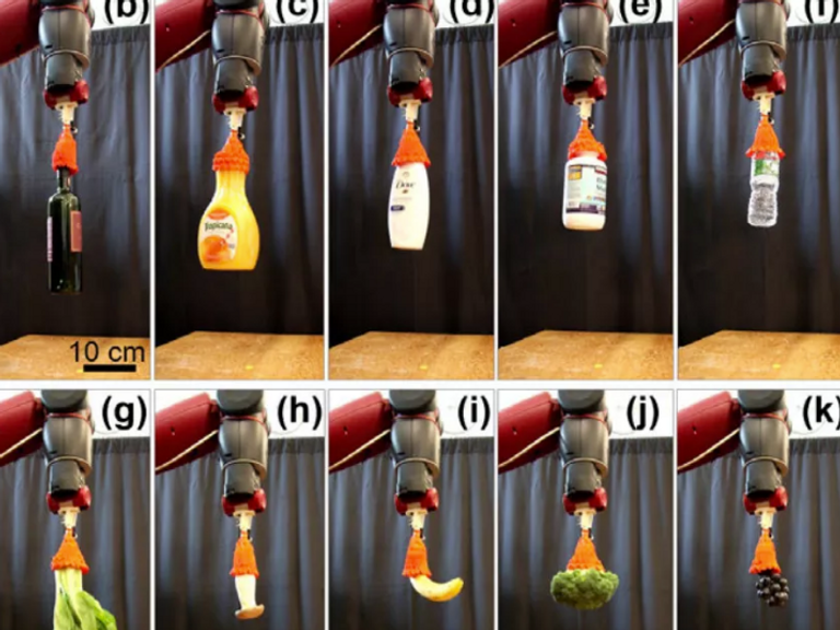 روبوت "وردة" يحمل أوزانا تعادل 100 ضعف من وزنه