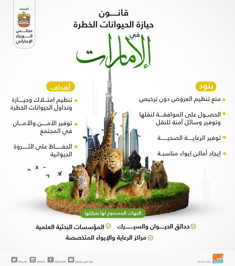 الإمارات تعتمد اللائحة التنفيذية لقانون حيازة الحيوانات الخطرة