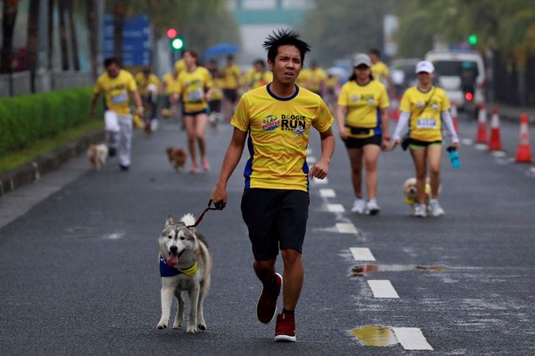 سباق جري للكلاب وأصحابها في الفلبين