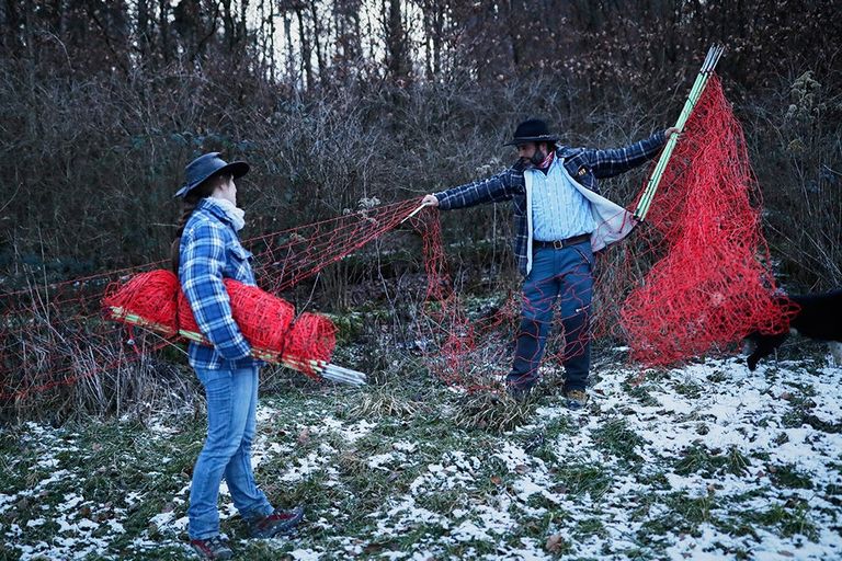 رعاة الأغنام في سويسرا