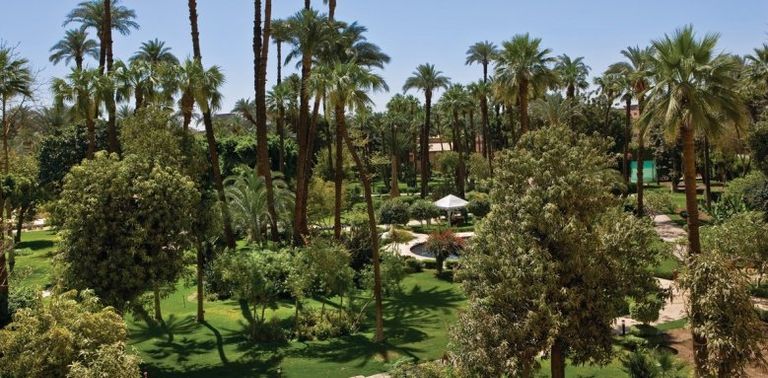 فندق ونتر بالاس الأقصر