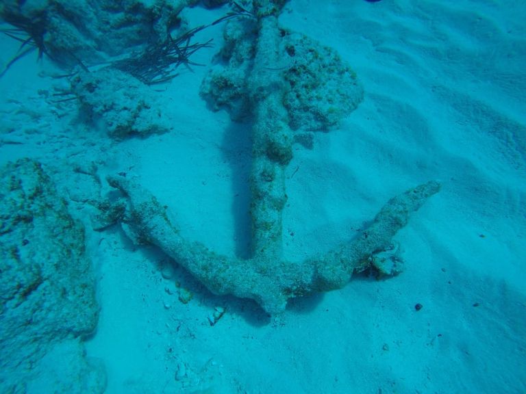 العثور على مرساوات تاريخية في مرسى باجوش بمصر