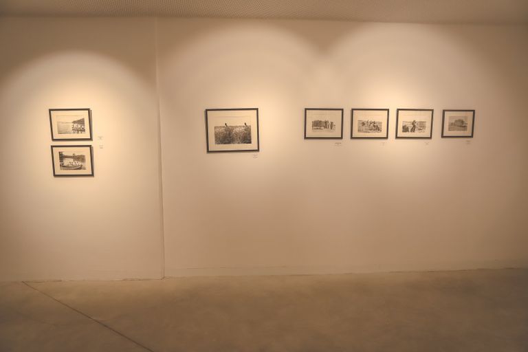 جانب من المعرض