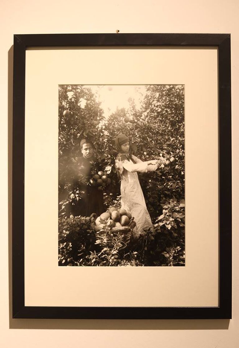 جانب من المعرض