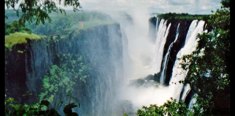 غابات كينيا بالقارة السمراء