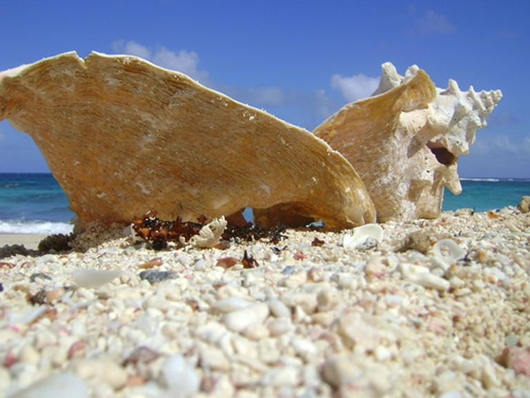 جزيرة أنتيجوا