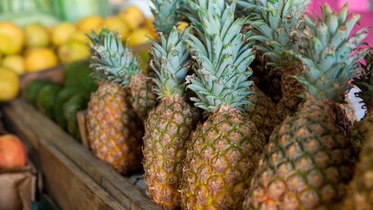 جزيرة أنتيجوا