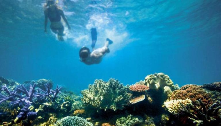 الحاجز المرجاني العظيم بأستراليا