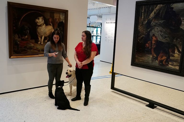 قائمة أشهر 10 كلاب بأمريكا لم تتغيّر عام 2018