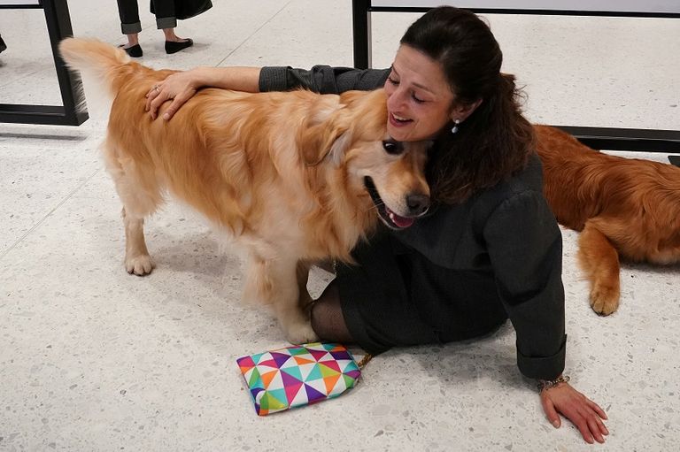 قائمة أشهر 10 كلاب بأمريكا لم تتغيّر عام 2018