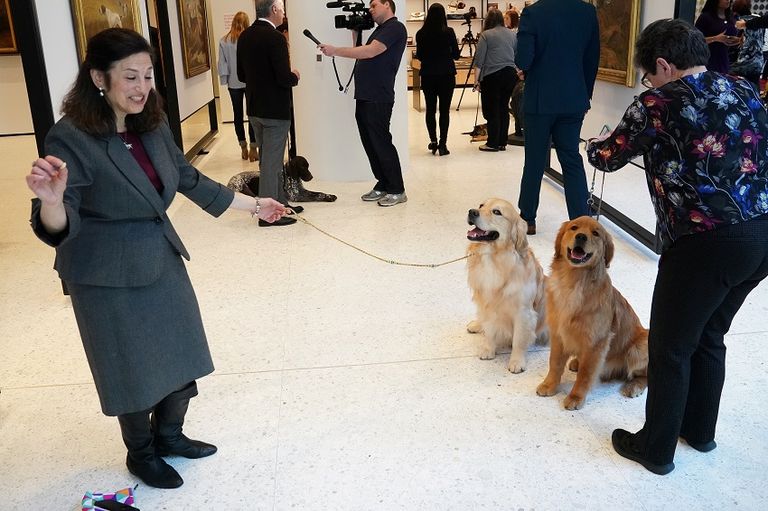 قائمة أشهر 10 كلاب بأمريكا لم تتغيّر عام 2018