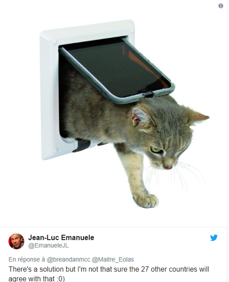 وزيرة فرنسية تمزح: سميت قطتي بريكست