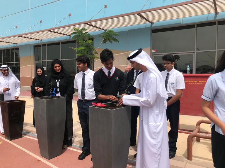 ثاني الزيودي يشارك الطلاب زراعة "الغاف" 