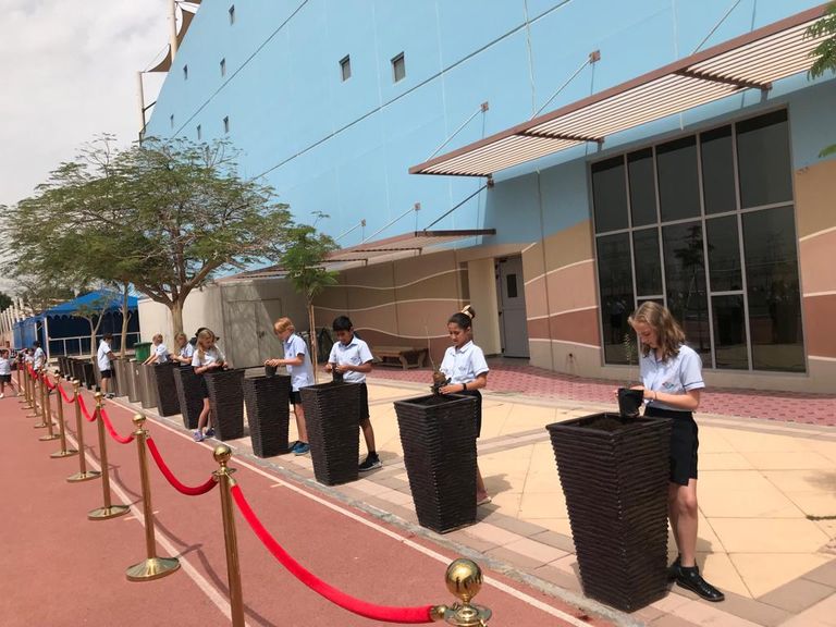 ثاني الزيودي يشارك الطلاب زراعة "الغاف"