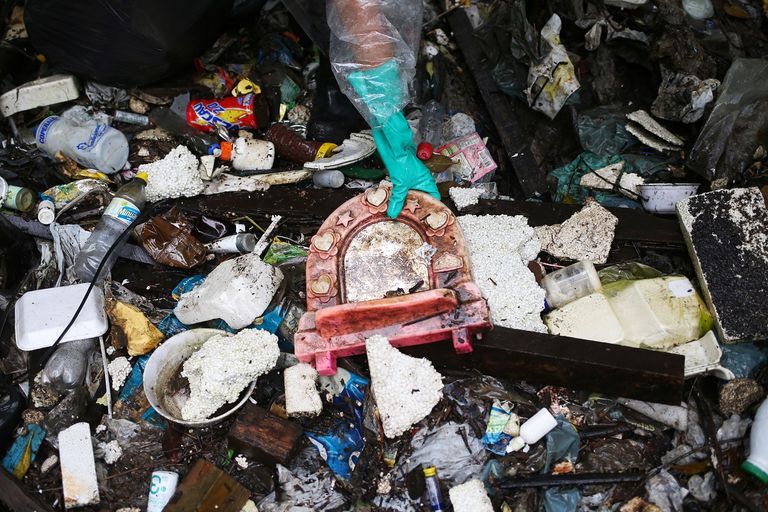 جانب من تنظيف المستنقعات في اليوم العالمي للمياه