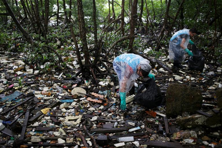 جانب من تنظيف المستنقعات في اليوم العالمي للمياه