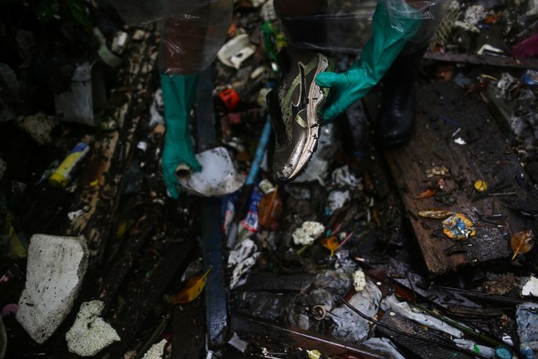 جانب من تنظيف المستنقعات في اليوم العالمي للمياه