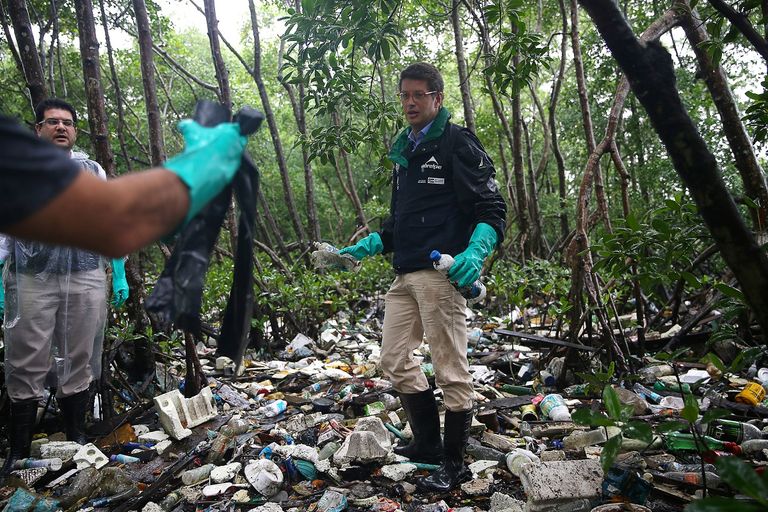 جانب من تنظيف المستنقعات في اليوم العالمي للمياه