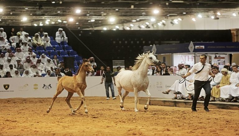 مزاد لؤلؤة دبي 2019