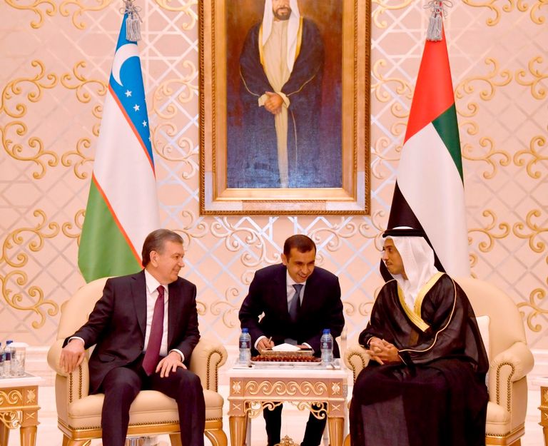الشيخ منصور بن زايد يستقبل رئيس أوزبكستان