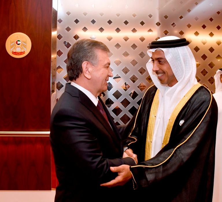 الشيخ منصور بن زايد يستقبل رئيس أوزبكستان