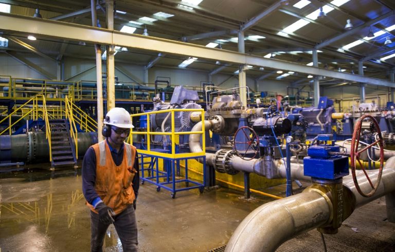 تشيلي تحول أكثر صحاري العالم قحلا إلى مزرعة خضراوات