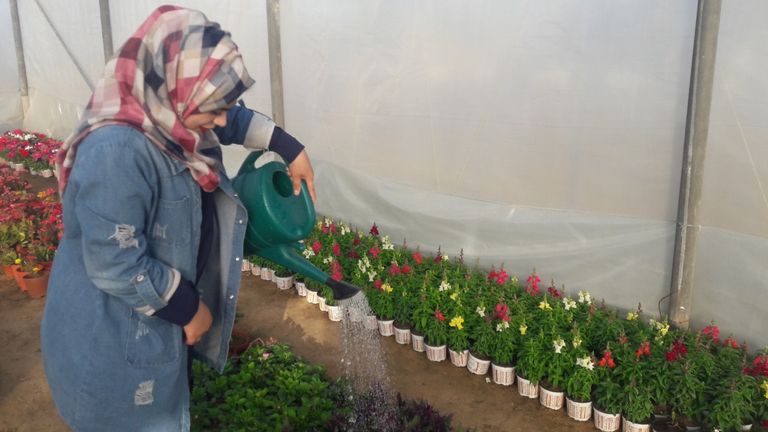 رواء النجار.. ممرضة تجد في الورود طريقا لحياة ممكنة في غزة