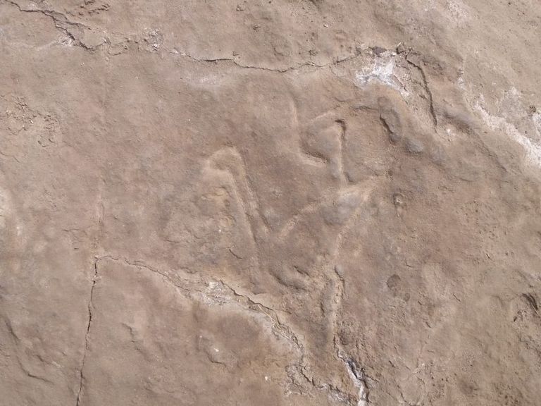 جانب من الميناء الأثري الذي تم اكتشافه