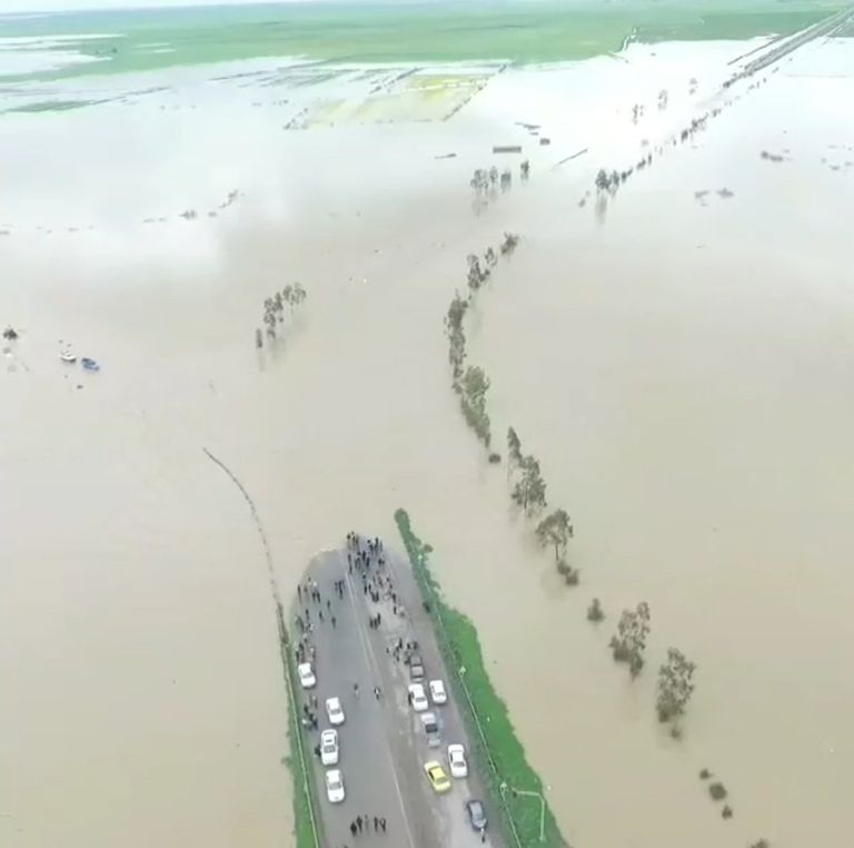 غرق مساحات زراعية شاسعة جراء السيول