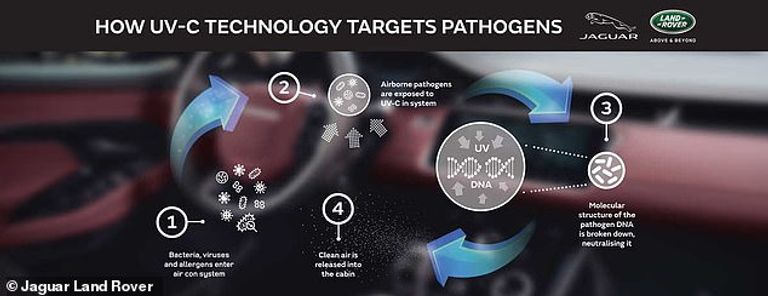 جاجوار - أرشيفية