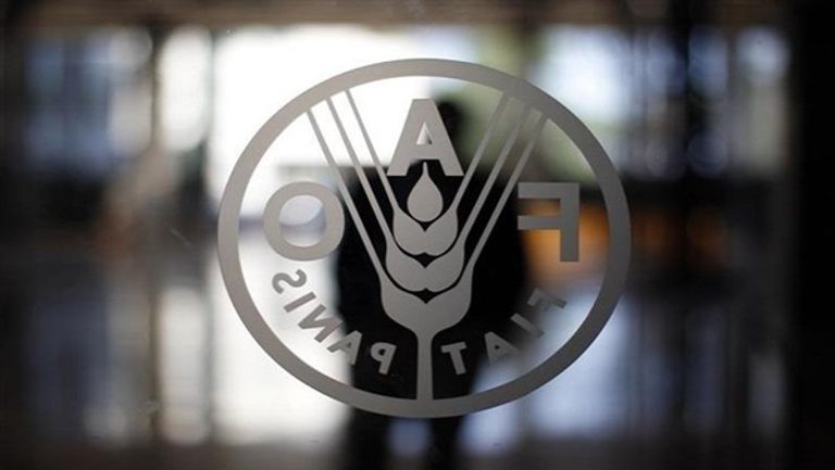 انطلاق المؤتمر الدولي "أيام الأراضي والمياه" في القاهرة