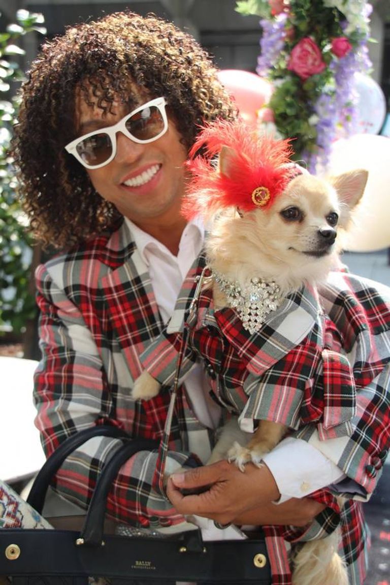 من ختام فعاليات أسبوع لندن للكلاب