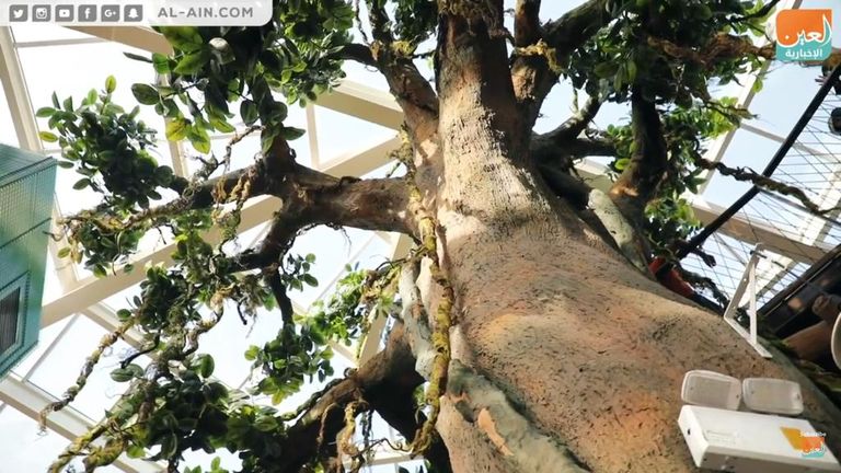 الحديقة القرآنية في دبي