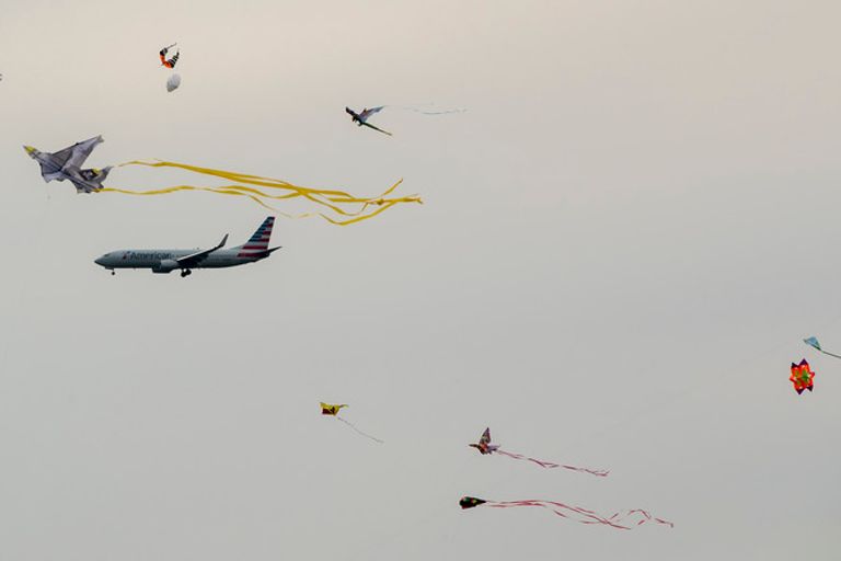 طائرات ورقية في مهرجان تفتُّح أزهار الكرز