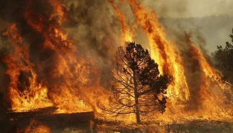 مصرع 24 شخصا في حريق غابة جنوب غرب الصين - أرشيفية