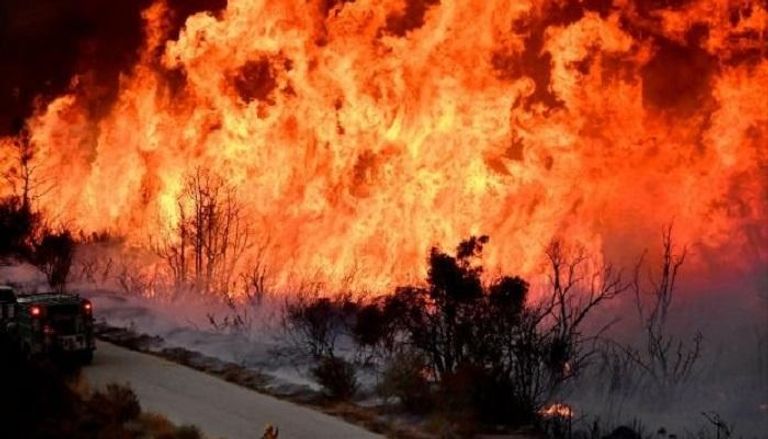 ارتفاع ضحايا حريق غابات الصين إلى 30 رجل إطفاء - أرشيفية
