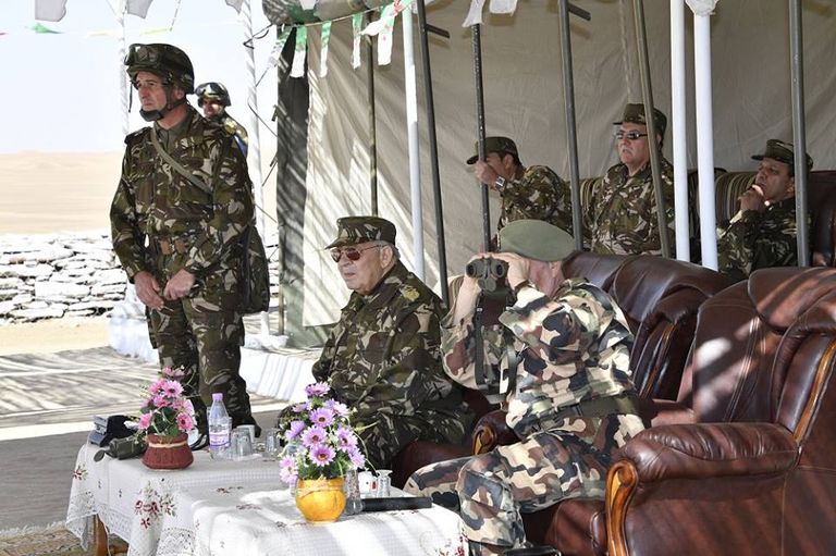 قائد أركان الجيش الجزائري الفريق أحمد قايد صالح قائد أركان الجيش الجزائري - أرشيفية