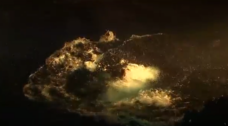 مسبح الاستوديو السينمائي