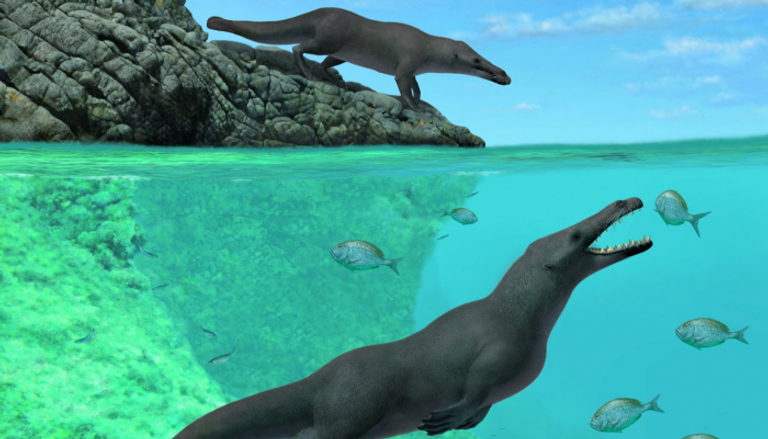 حفرية لحوت بـ4 أرجل عاش قبل 43 مليون سنة