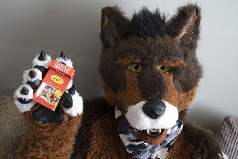 جيمس يطلق العنان للكلب داخله بعد الانتهاء من العمل