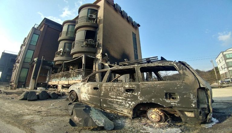 حرائق الغابات في كوريا الجنوبية