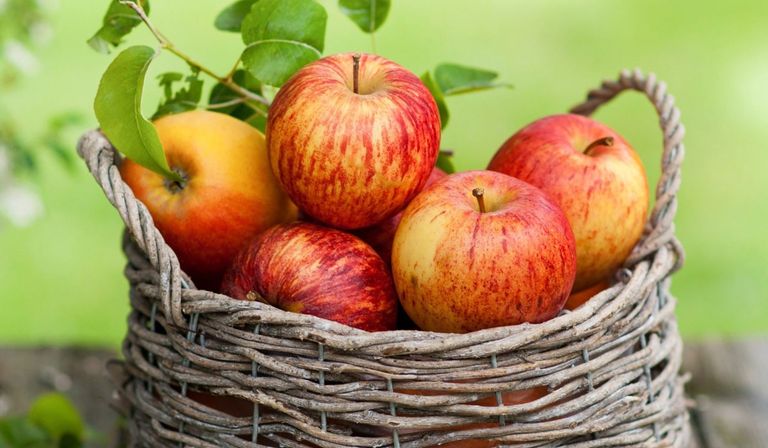 التفاح لتقوية الذاكرة